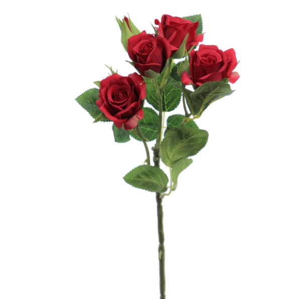 ROSITAS x 5 48 CMS  2503-08