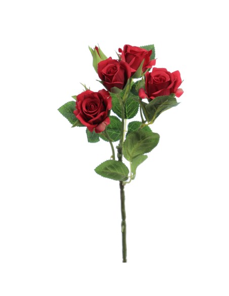 ROSITAS x 5 48 CMS  2503-08