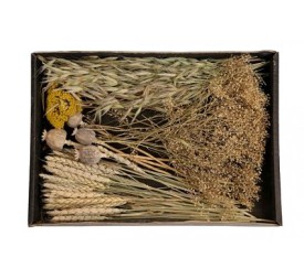 DRIED FLOWERS MIX TRAY 38x26x5cm NATURAL