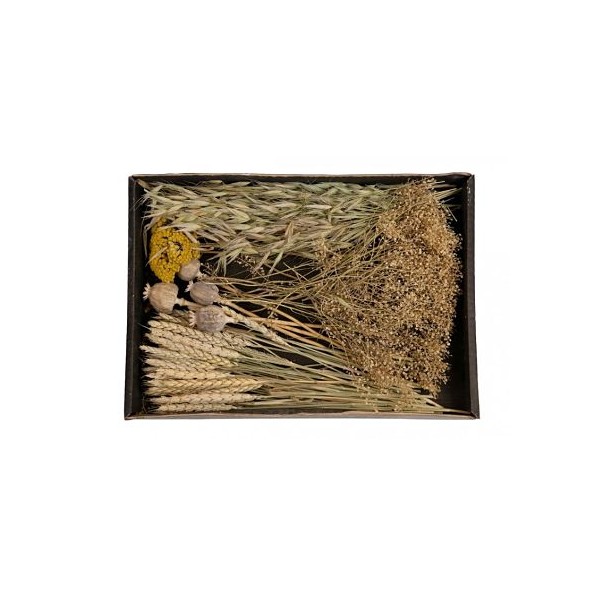 DRIED FLOWERS MIX TRAY 38x26x5cm NATURAL