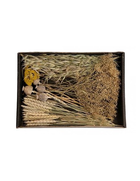 DRIED FLOWERS MIX TRAY 38x26x5cm NATURAL