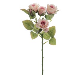 ROSITAS X 5 48 CMS  2513-12