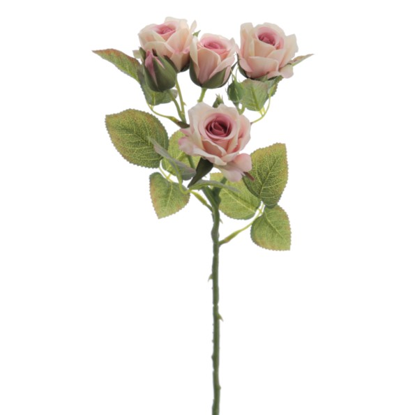 ROSITAS X 5 48 CMS  2513-12