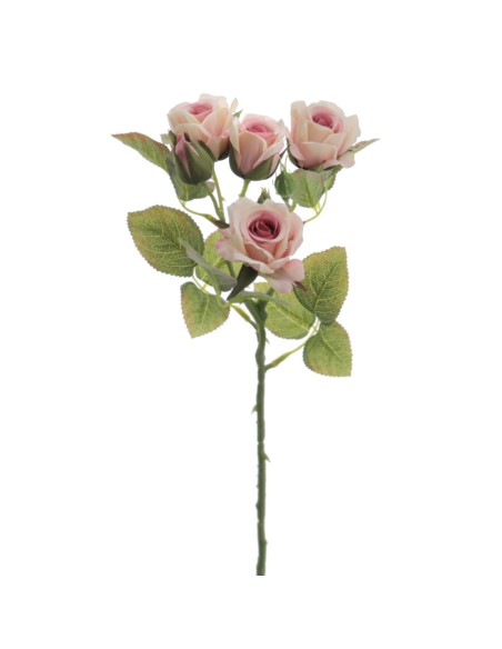 ROSITAS X 5 48 CMS  2513-12