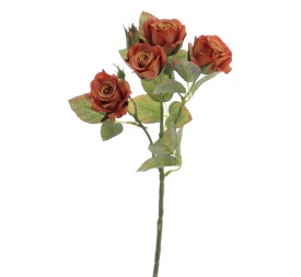 ROSITAS X 5 48 CMS   2513-51