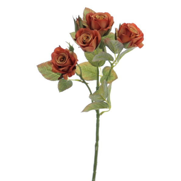 ROSITAS X 5 48 CMS   2513-51