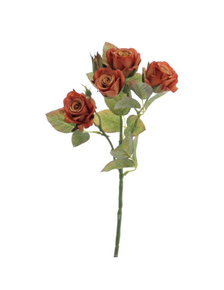 ROSITAS X 5 48 CMS   2513-51