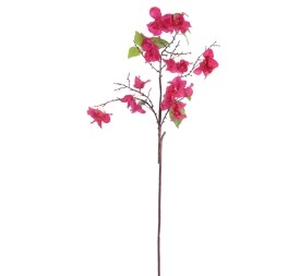 BOUGANVILLEA   6202-07