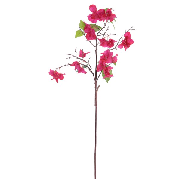 BOUGANVILLEA   6202-07