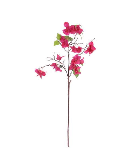 BOUGANVILLEA   6202-07