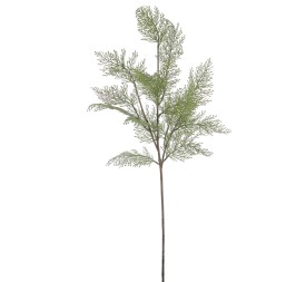 CYPRES 81 CMS  (2057-09)