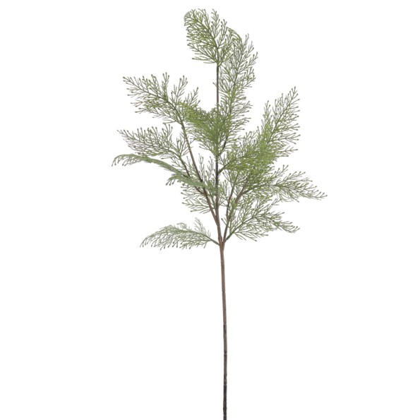 CYPRES 81 CMS  (2057-09)