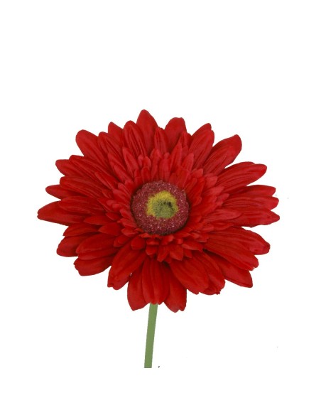 GERBERA 2295-08