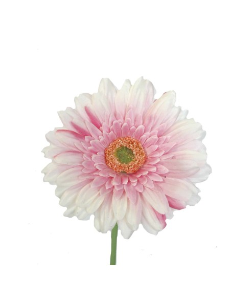 GERBERA   2295-12