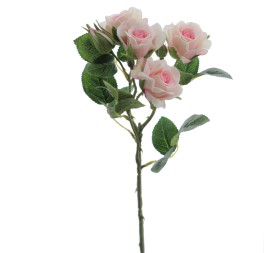 ROSITAS x 5 48 CMS    2503-12