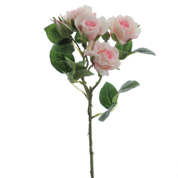 ROSITAS x 5 48 CMS    2503-12