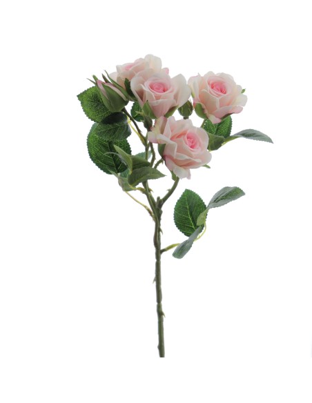 ROSITAS x 5 48 CMS    2503-12