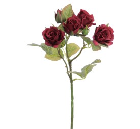 ROSITAS X 5 48 CMS   2513-38