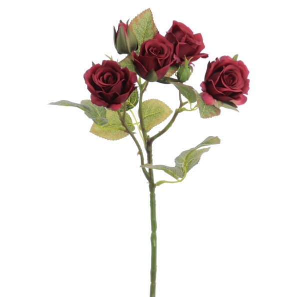 ROSITAS X 5 48 CMS   2513-38