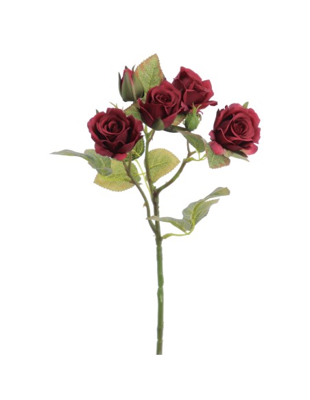 ROSITAS X 5 48 CMS   2513-38