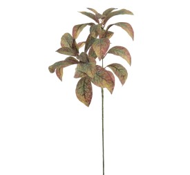 MAGNOLIA 71 CMS   6958-09