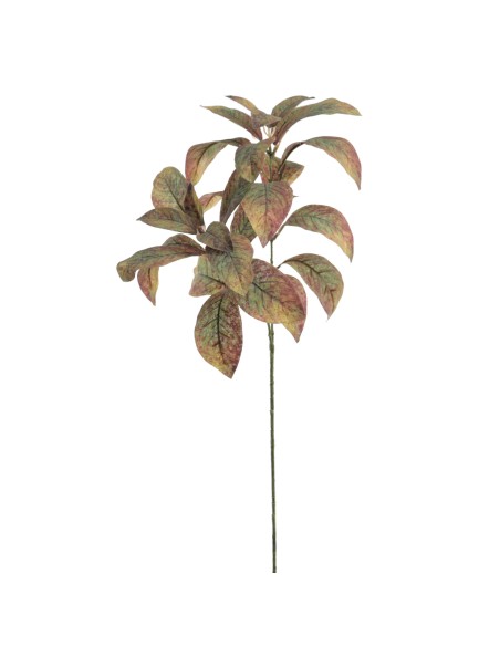 MAGNOLIA 71 CMS   6958-09