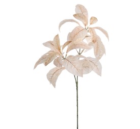 MAGNOLIA 71 CMS   6958-31