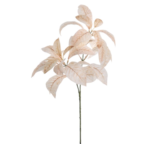 MAGNOLIA 71 CMS   6958-31