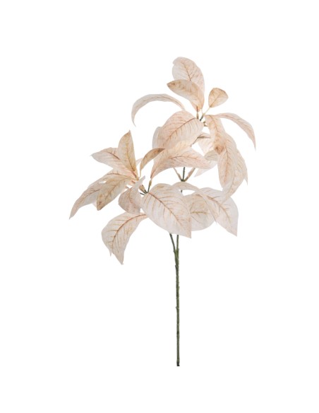 MAGNOLIA 71 CMS   6958-31
