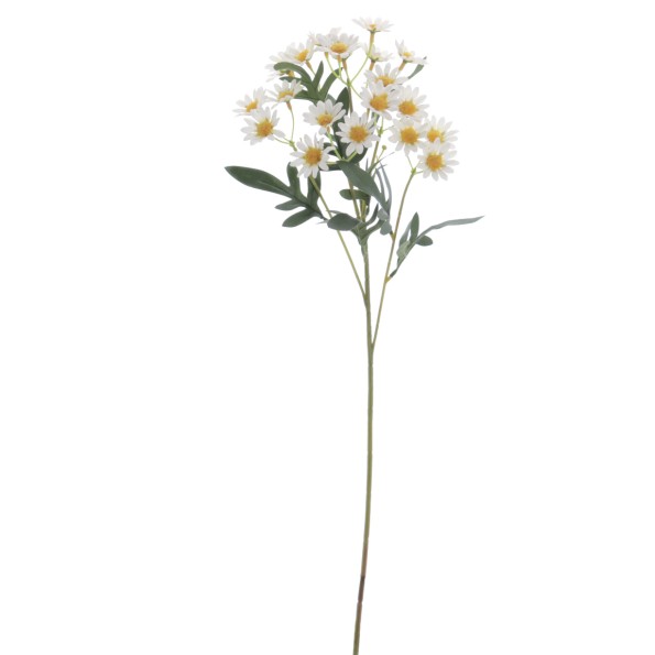 MARGARITAS 60 CMS (4848-11)