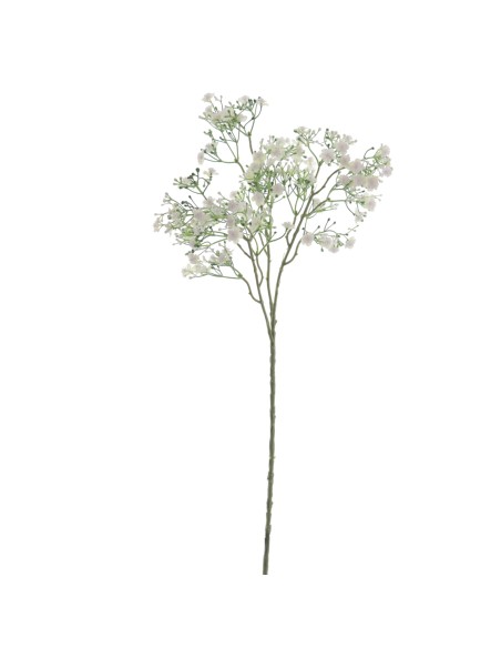 GYPSOPHILA (6120-01)