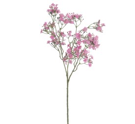 GYPSOPHILA (6120-07)