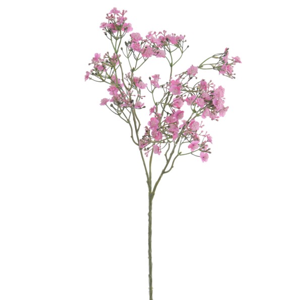 GYPSOPHILA (6120-07)