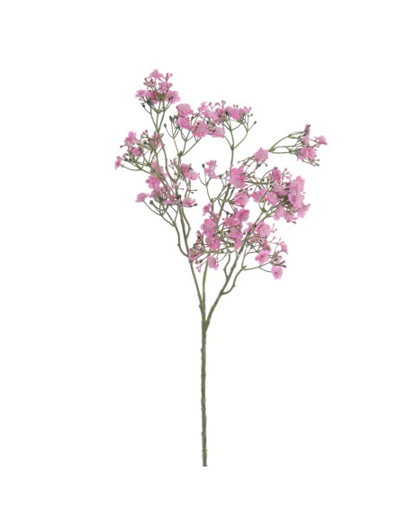 GYPSOPHILA (6120-07)