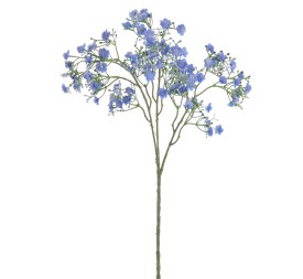 GYPSOPHILA (6120-10)