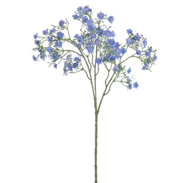 GYPSOPHILA (6120-10)