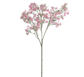 GYPSOPHILA (6120-12)