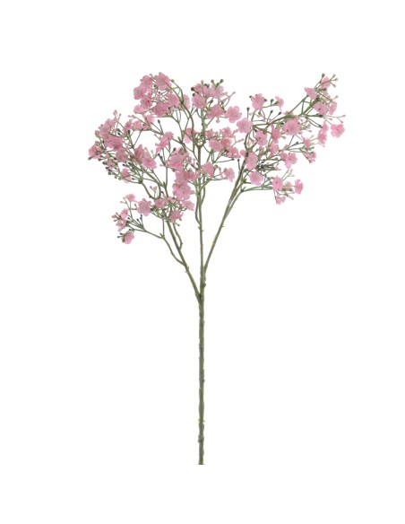GYPSOPHILA (6120-12)