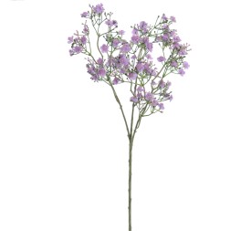 GYPSOPHILA (6120-25)