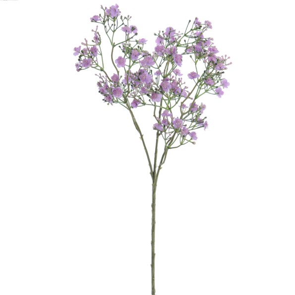 GYPSOPHILA (6120-25)