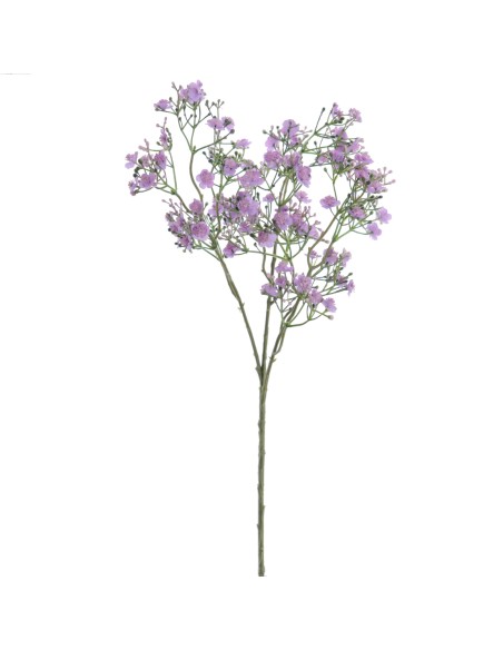 GYPSOPHILA (6120-25)
