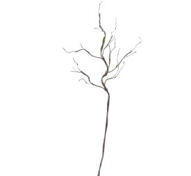 RAIZ 112 CMS (6558-05)