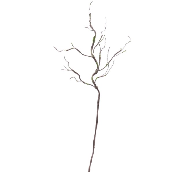 RAIZ 112 CMS (6558-05)