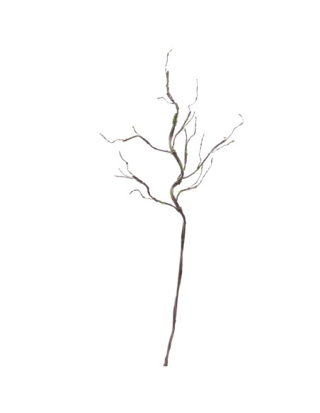 RAIZ 112 CMS (6558-05)