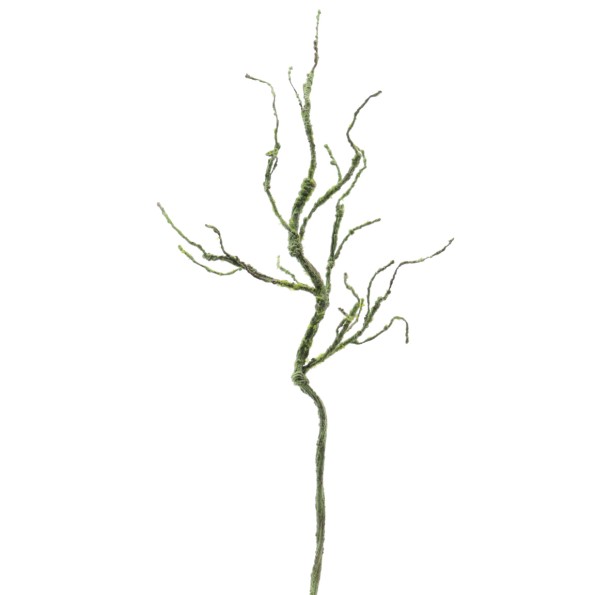 RAIZ 112 CMS (6558-09)