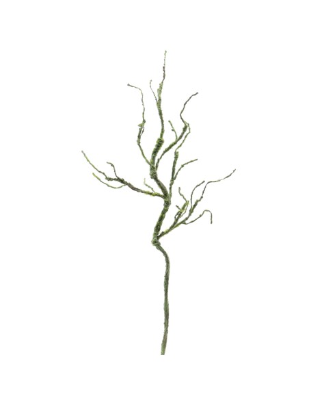 RAIZ 112 CMS (6558-09)