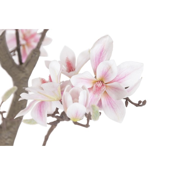 ARBOL PE CEMENTO 80X80X163 MAGNOLIO BLANCO