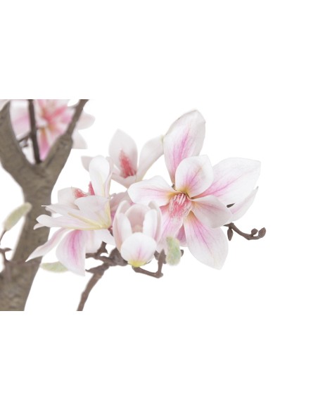 ARBOL PE CEMENTO 80X80X163 MAGNOLIO BLANCO