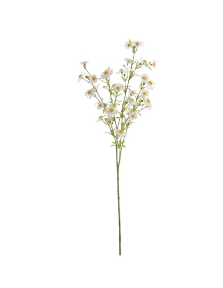 MARGARITA MINI 68 CMS (4844-01)