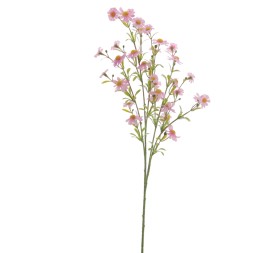 MARGARITA MINI 68 CMS (4844-12)